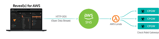 Reveal(x) for AWS + Check Point Integration Workflow