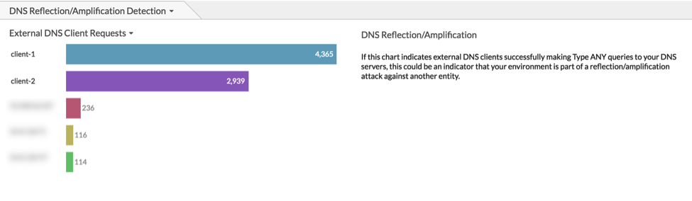 monitoring DNS ANY queries from external clients