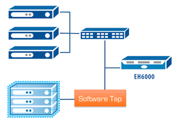Figure 4. Example of a mixed environment. A physical EH6000 has visibility into both physical and virtual servers.