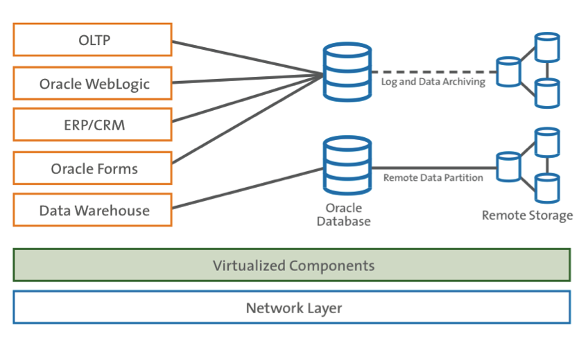Database environment